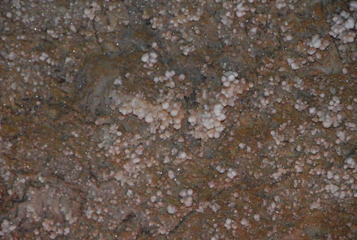 Treffen Braunfels 2007 086