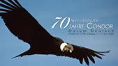 Condor